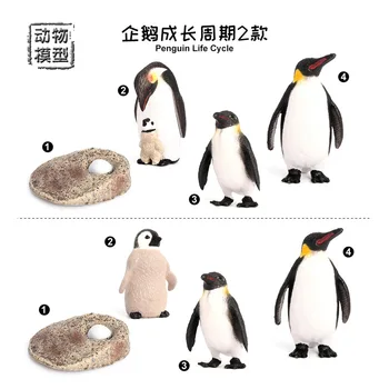 4db/készlet Szimuláció Szilárd Pingvin Növekedési Ciklus Állat Modell Akció Ábra a Gyermekek Korai Oktatás Játékok, Díszek Készlet